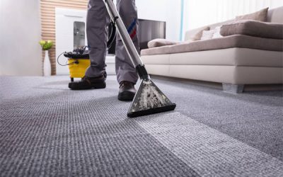 Cleaning Mate: Carpet Cleaning Brisbane