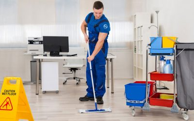 How Often Should You Clean Your Carpets Professionally Cleaned