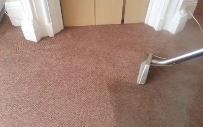 IS IT BETTER TO SHAMPOO OR STEAM CLEAN CARPETS?