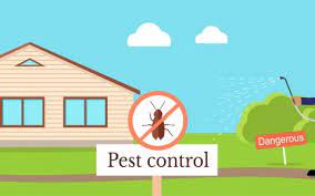 Pest Control Tips and Tricks to Keep the Pests Away