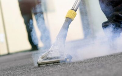 IS IT BETTER TO SHAMPOO OR STEAM CLEAN CARPETS?