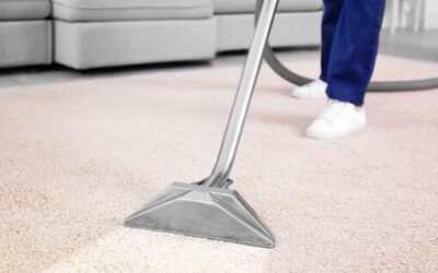 How to Find the Best Carpet Cleaning Company