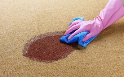 How to clean vomit off carpet