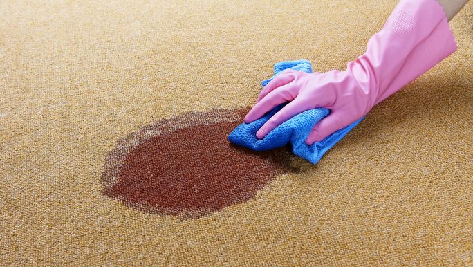 clean vomit off carpet