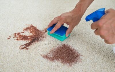 How to get blood out of carpet